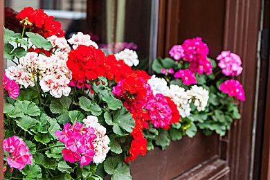 英伟达：AI已成为计算机图形学不可或缺一部分